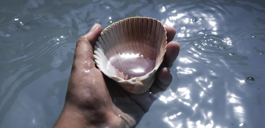 Él os bautizará con Espíritu Santo