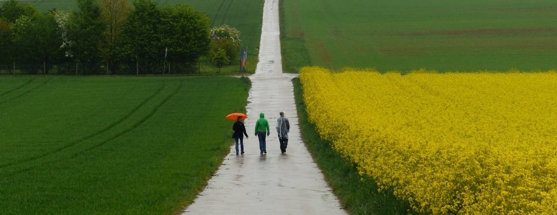 Se pusieron en camino