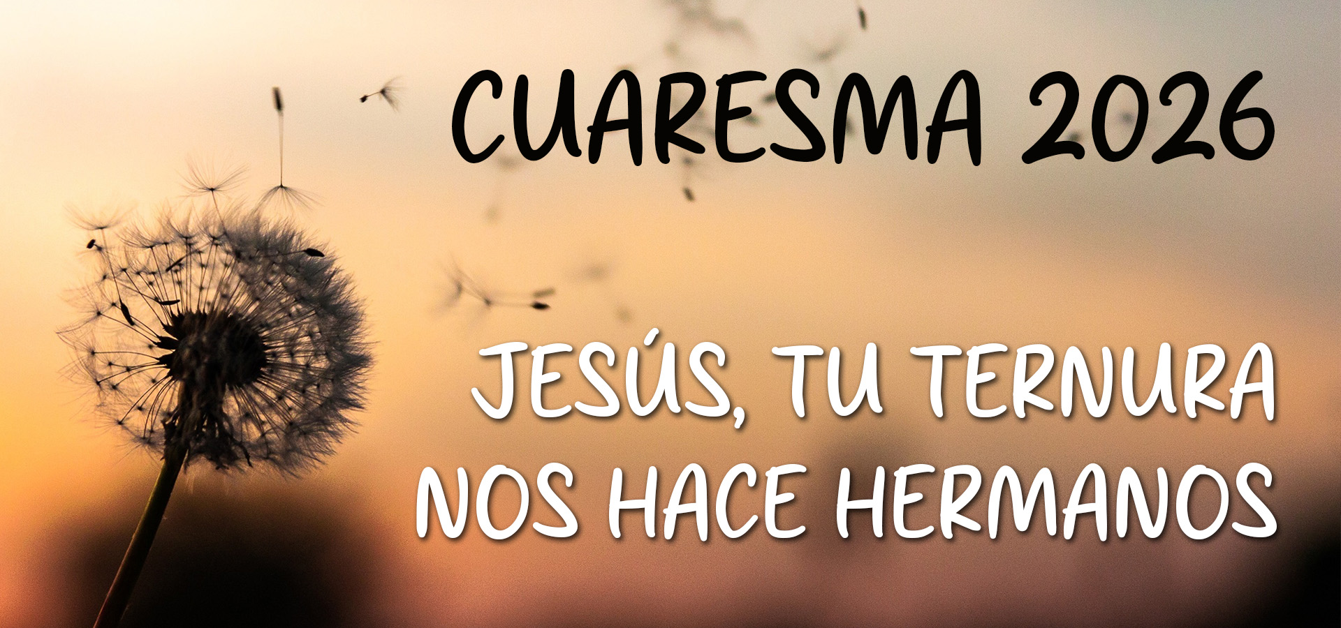 Jesús, tu ternura nos hace hermanos